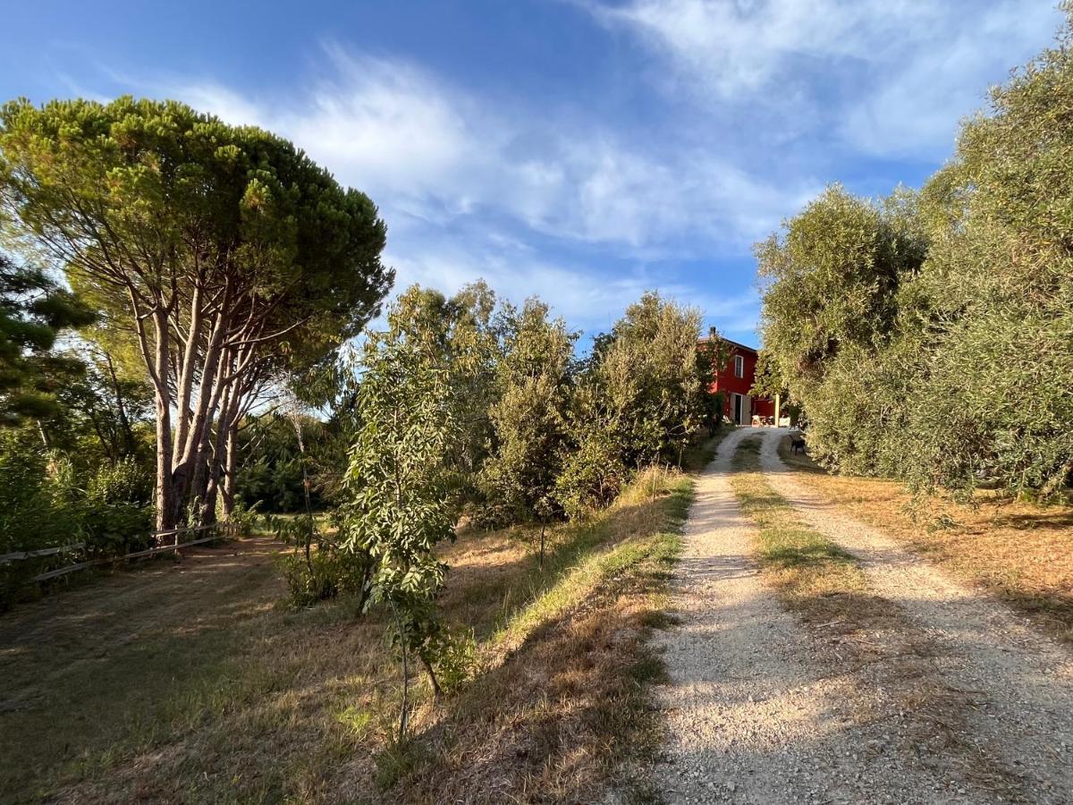Podere Orzale Agri Hospitality Usigliano Luaran gambar