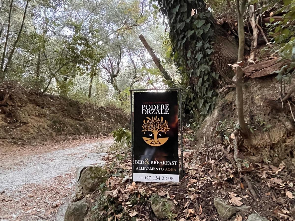 Podere Orzale Agri Hospitality Usigliano Luaran gambar