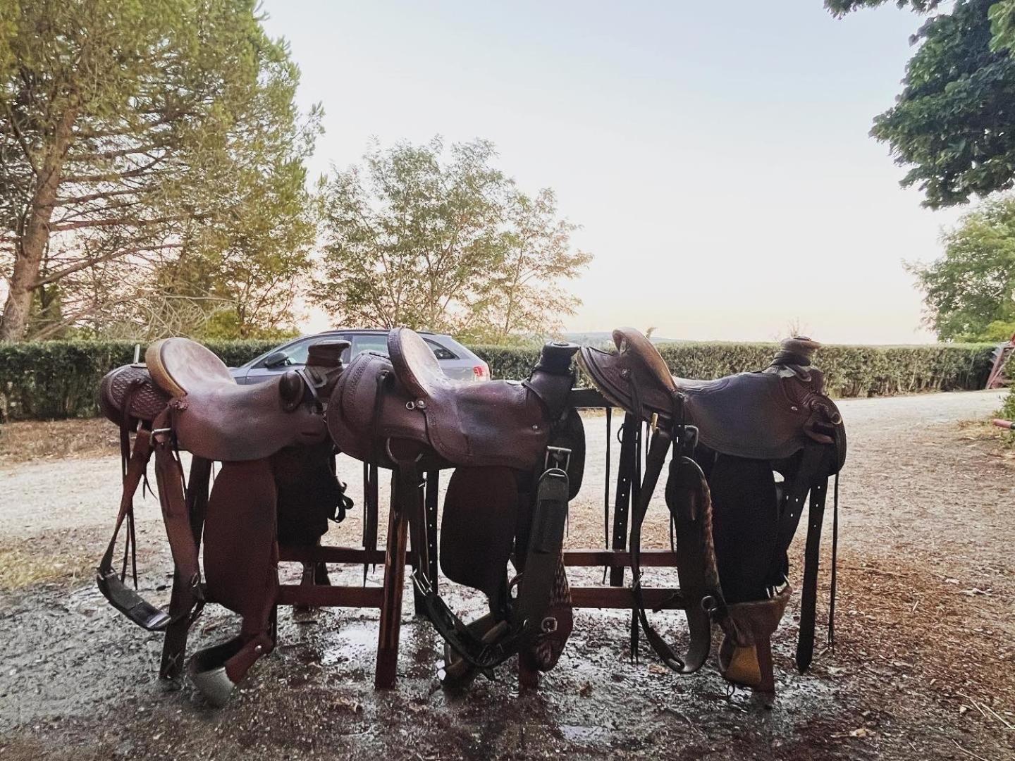 Podere Orzale Agri Hospitality Usigliano Luaran gambar