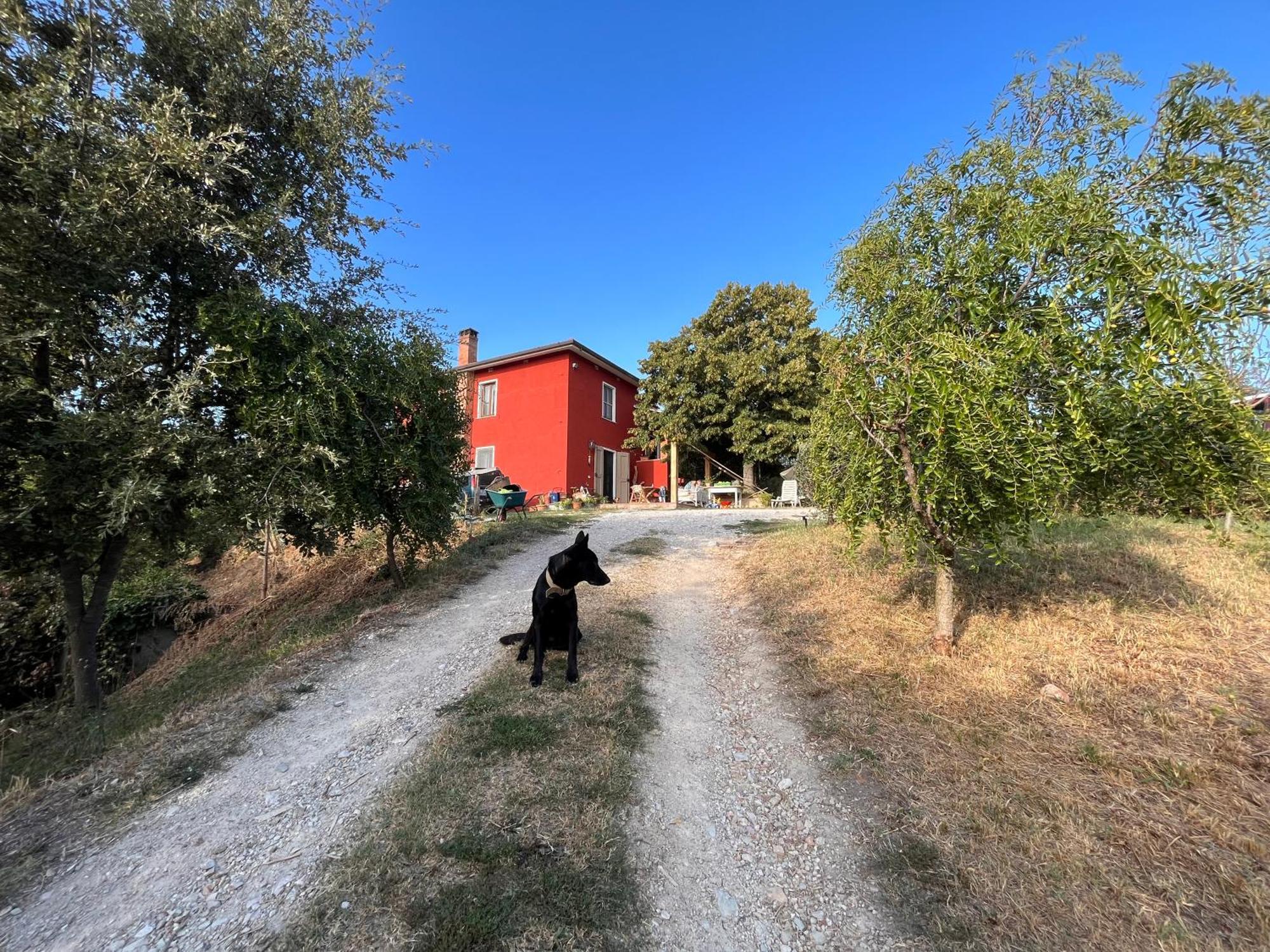 Podere Orzale Agri Hospitality Usigliano Luaran gambar