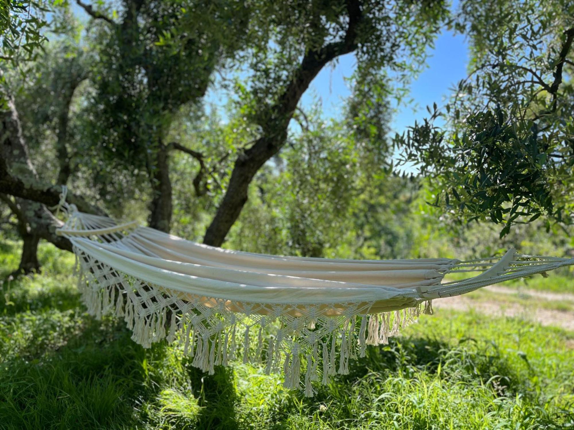 Podere Orzale Agri Hospitality Usigliano Luaran gambar
